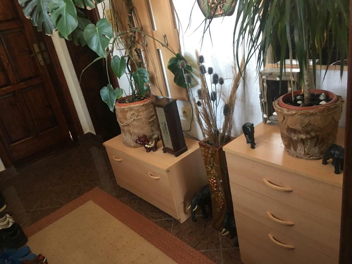 Apartmani Miljana Bar Esterno foto