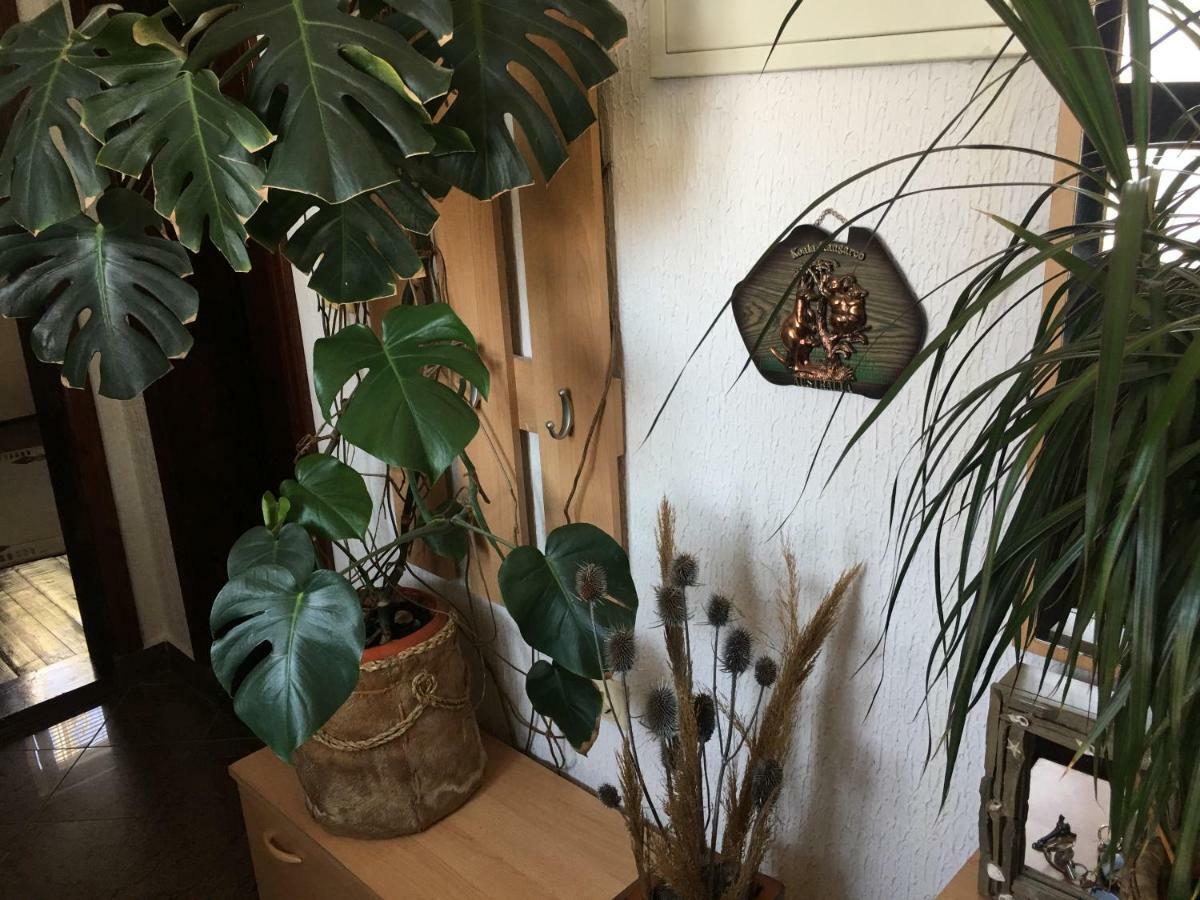 Apartmani Miljana Bar Esterno foto
